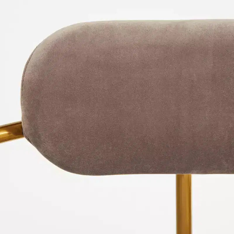 Buylateral Set of 2 Healey Retro Velvet Dining Armchairs