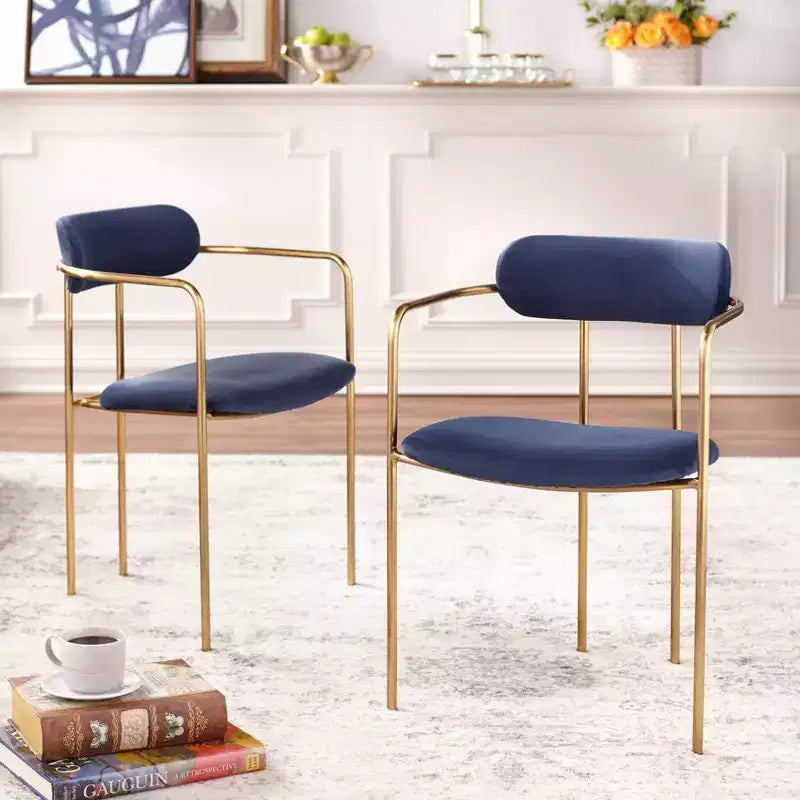 Buylateral Set of 2 Healey Retro Velvet Dining Armchairs